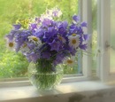 Фотография Хакимовой Лианы