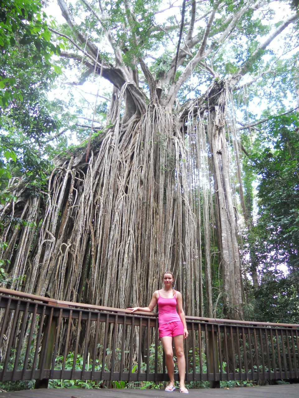 Iryna Kuratova | Cairns