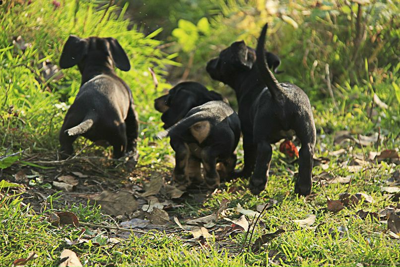 Альбина Стрелкова | Воткинск