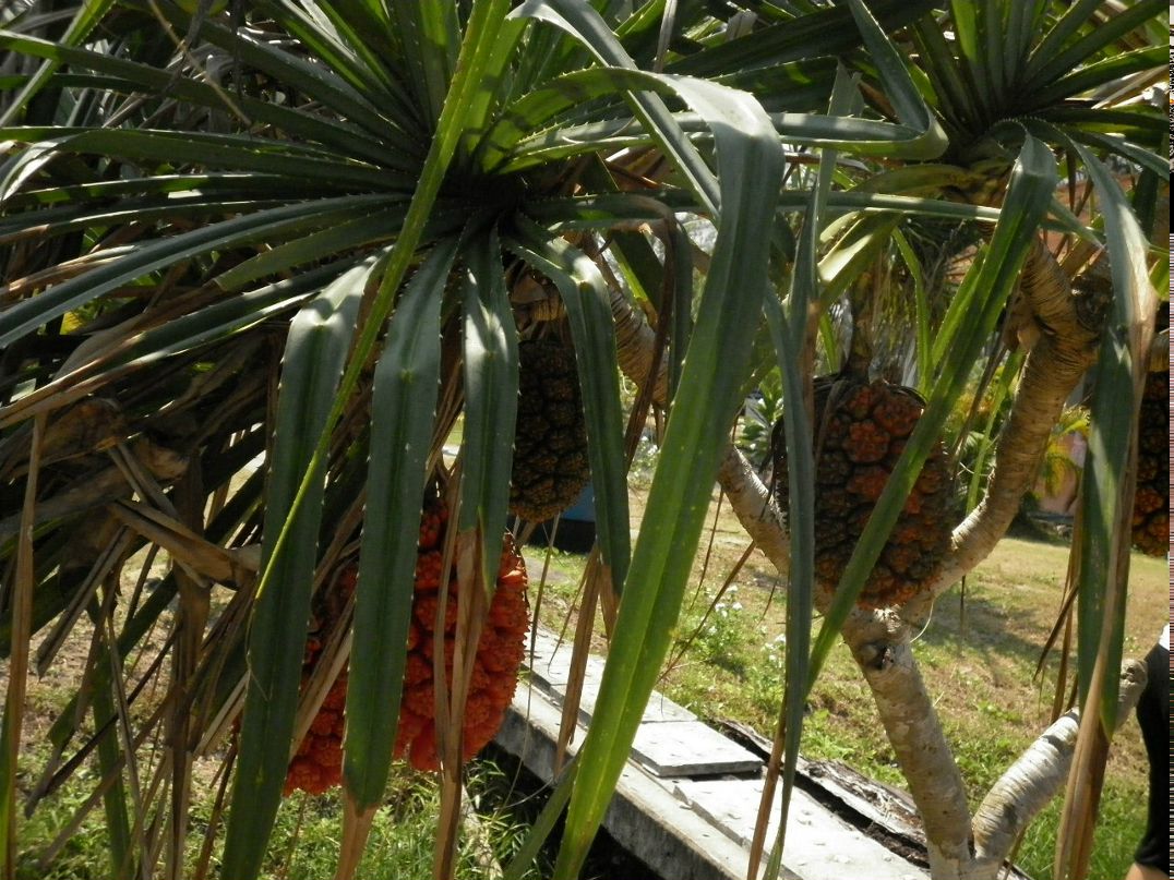 Анастасия Анохина | Москва