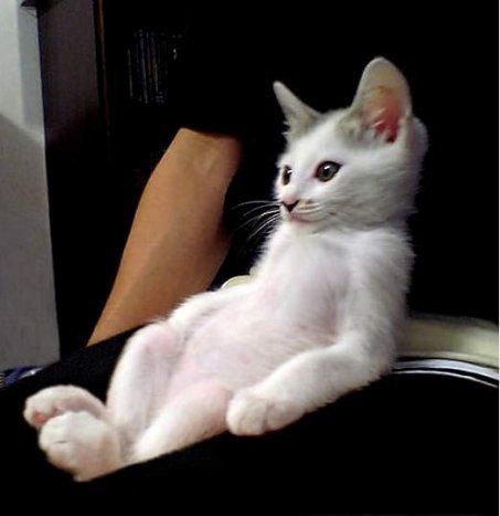 №16, Kakageldi Begjanov №16, Kakageldi Begjanov