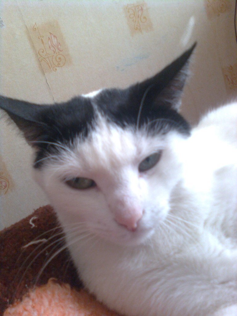 Татьяна Стужук | Киев