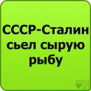 №20 Александра Косачёва 16.06.1999: профиль, фото, статус - ВКонтакте