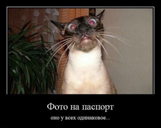 Яна Солнцева | Харьков