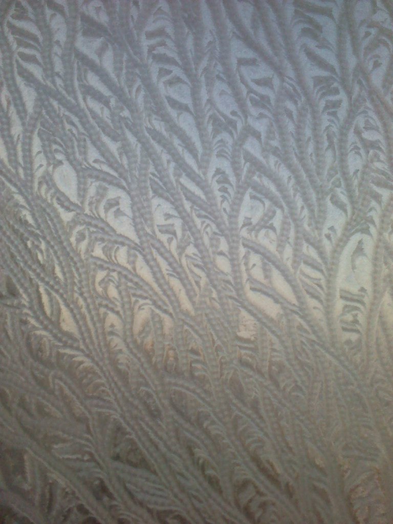 Сергей Булейко | 