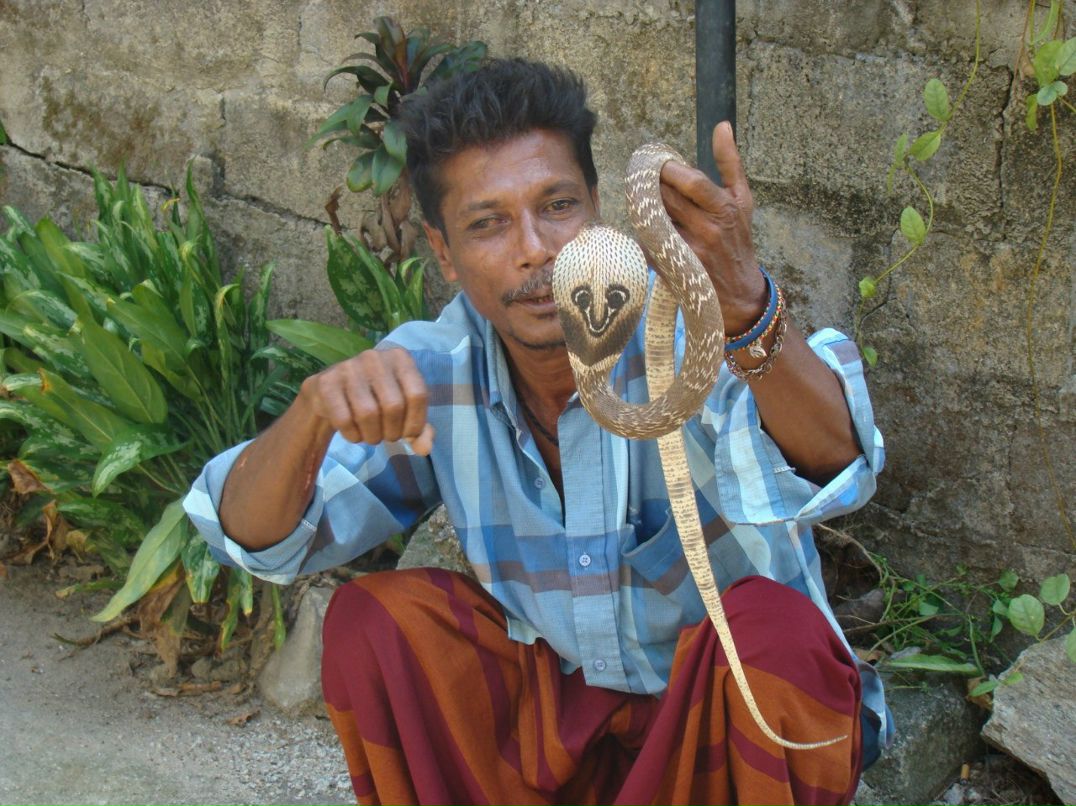 Олег Ройко | Харьков