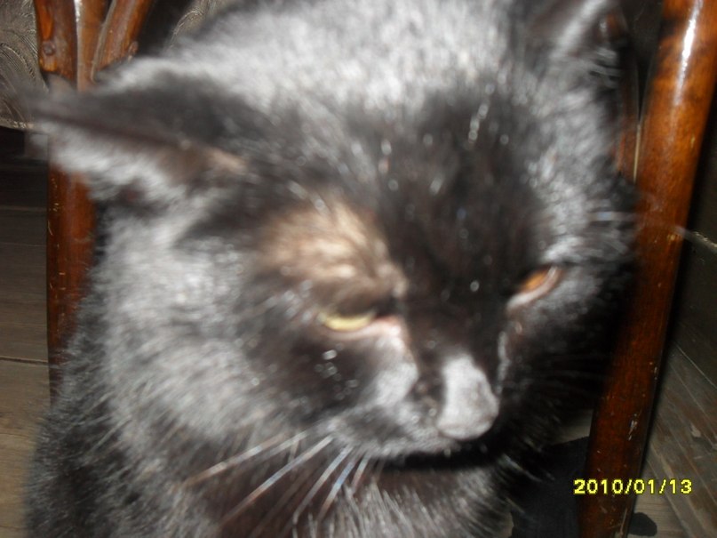 Лиза Федорова | Чебоксары