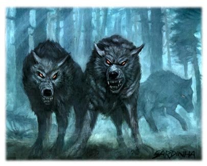 Павел Николаев | Волгоград