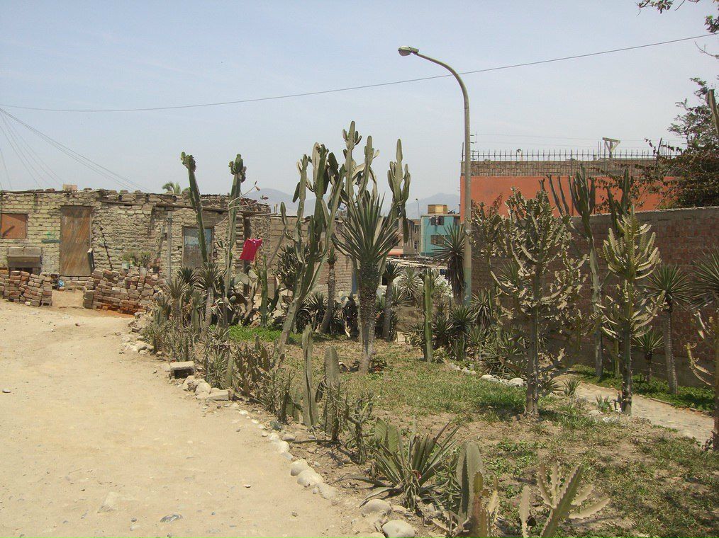 Сергей Борисов | Киев