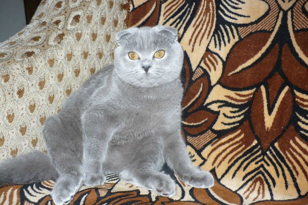 Татьяна Мельник-Дейнеко | Чернигов