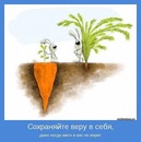 Фотография Тимошкова Евгения