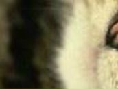 Леночка Попова | Санкт-Петербург