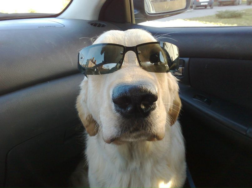 Анна Орлова | Санкт-Петербург