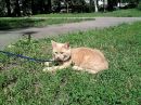 №8 Настёна Тюрина : профиль, фото, статус - ВКонтакте