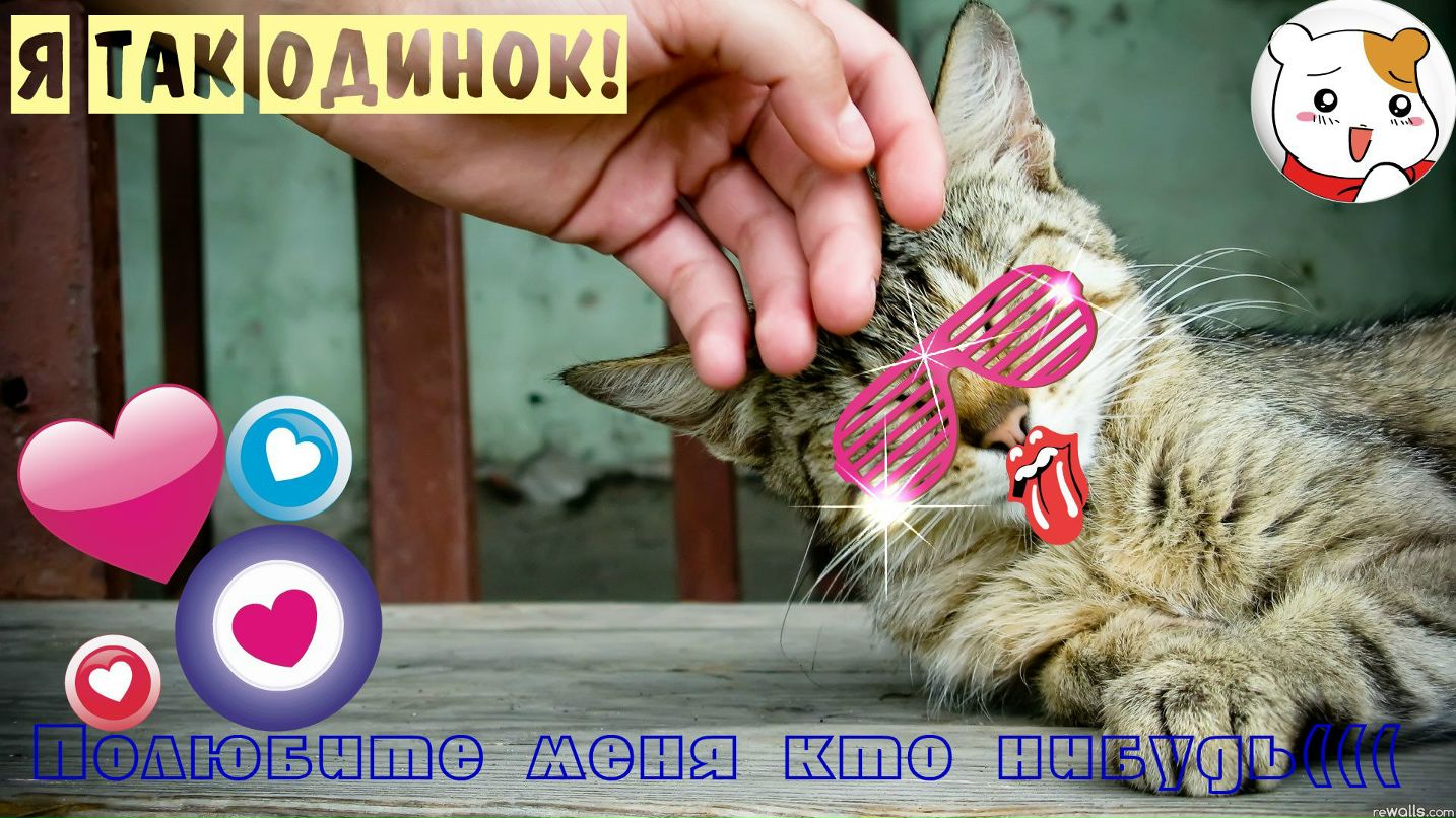 Константин Сунцов $$$ FOX $$$ | Чебоксары (деревня)