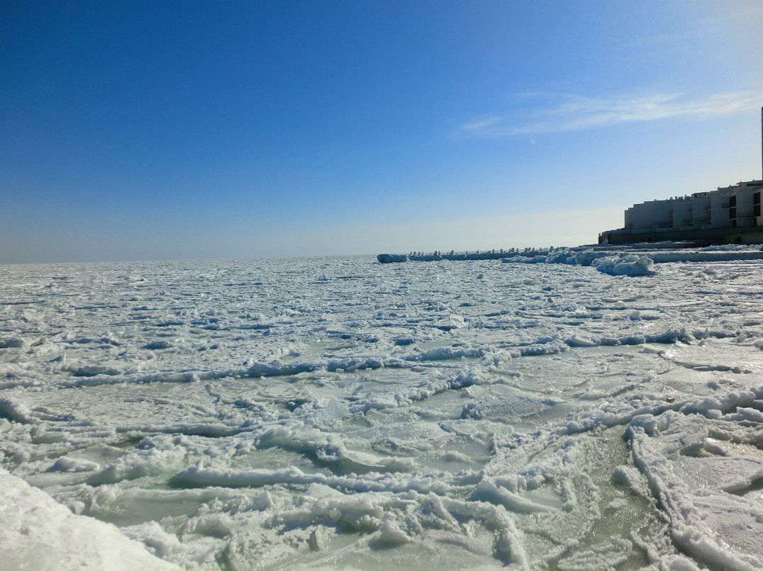 Володя Медведев | Одесса