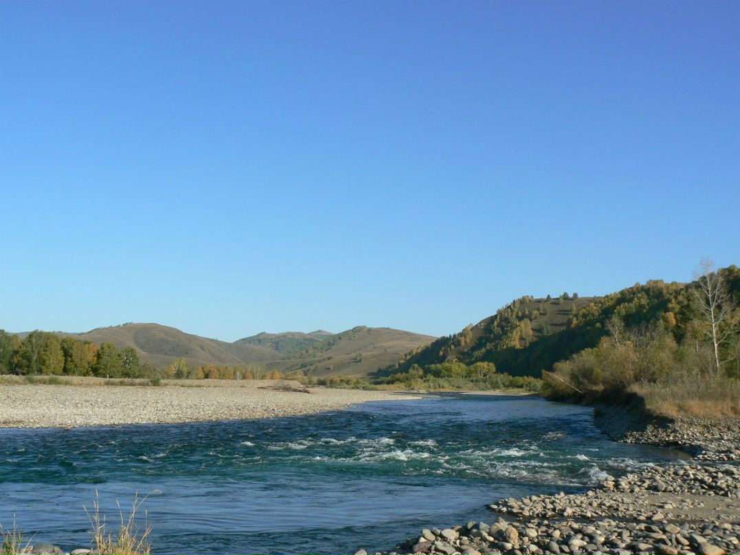 Вячеслав Рощин | 