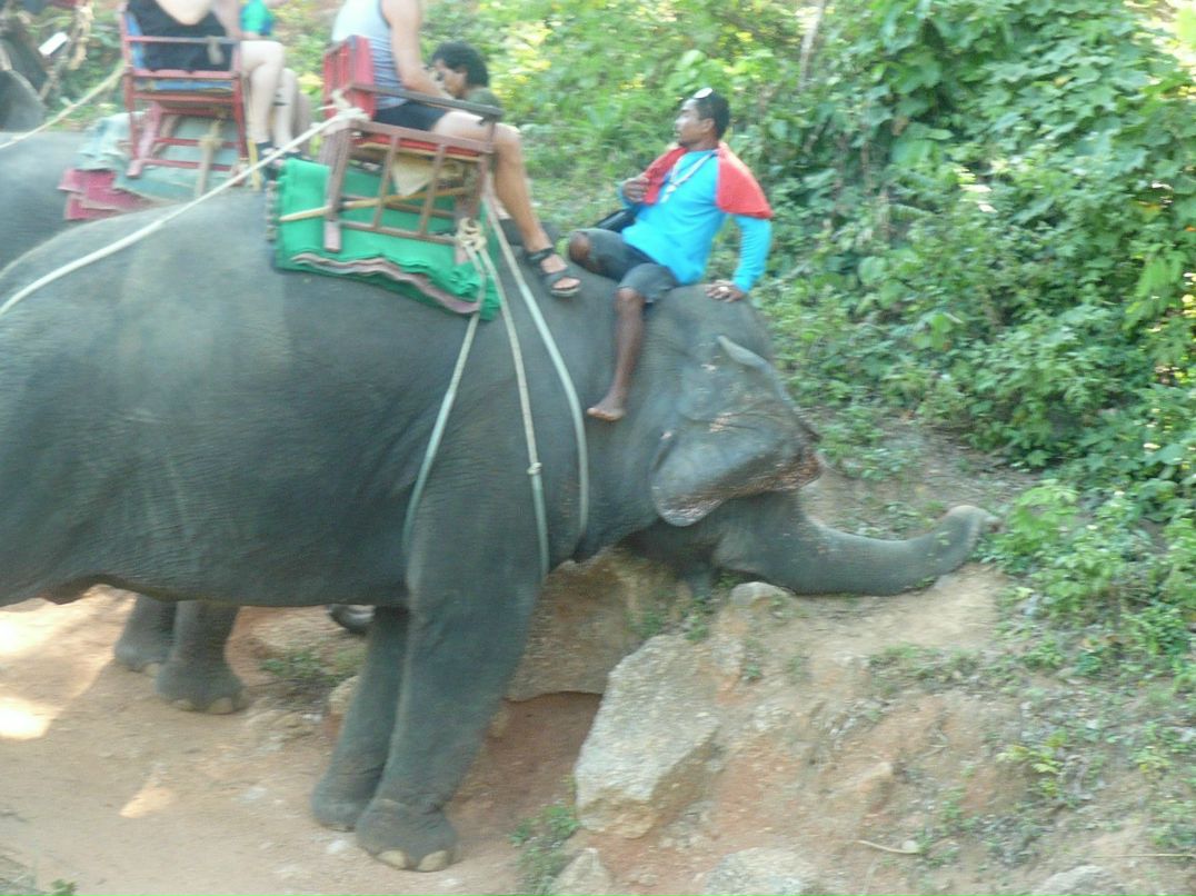 Светлана Балашова | Дмитров