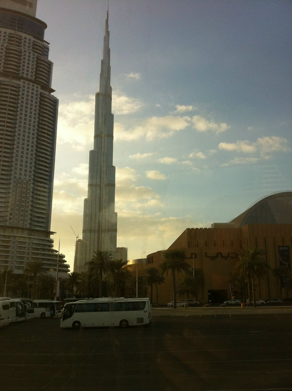 Елена Субботина | Санкт-Петербург