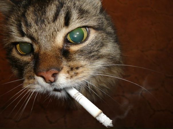 №12, Иван Дроздов, 41 год, Минск №12, Иван Дроздов, 41 год, Минск