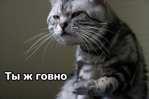 Алексей Извеков МОСКВИЧ | Москва