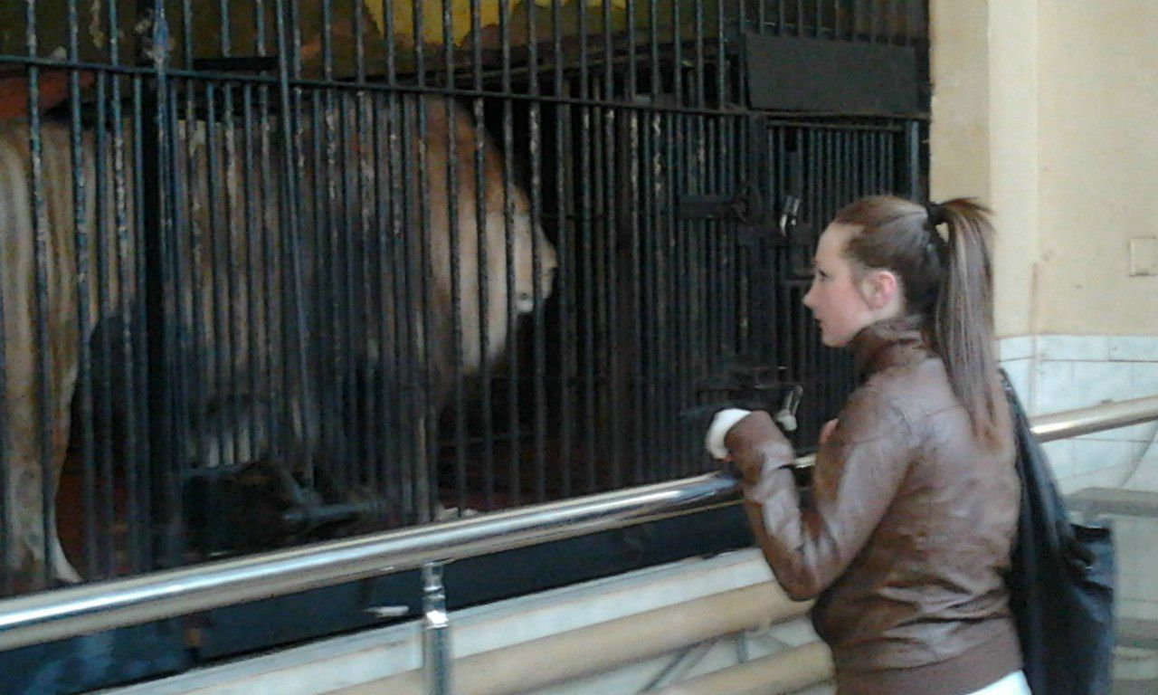 Anna Korolkova | Санкт-Петербург