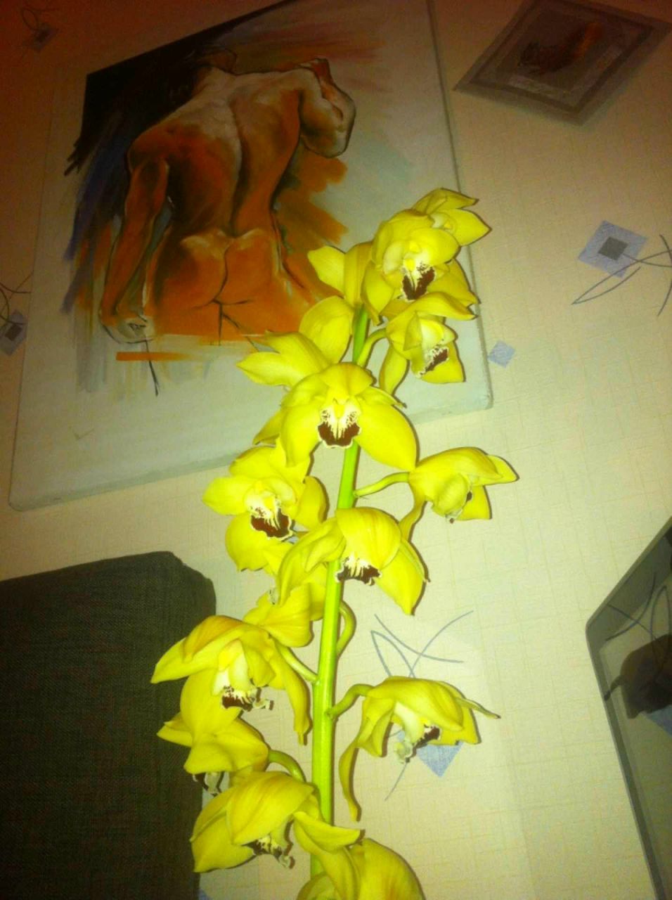 Михаил Беланов | Санкт-Петербург