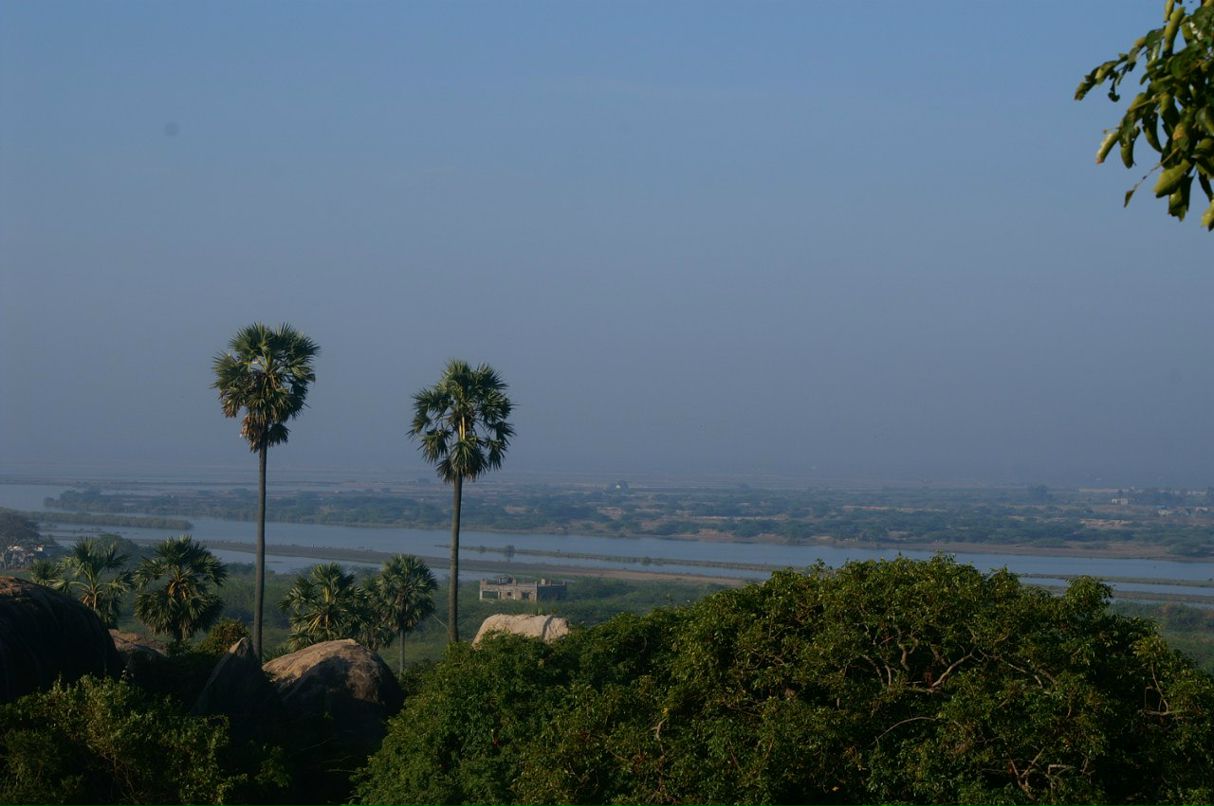 Ольга Кужель | Киев