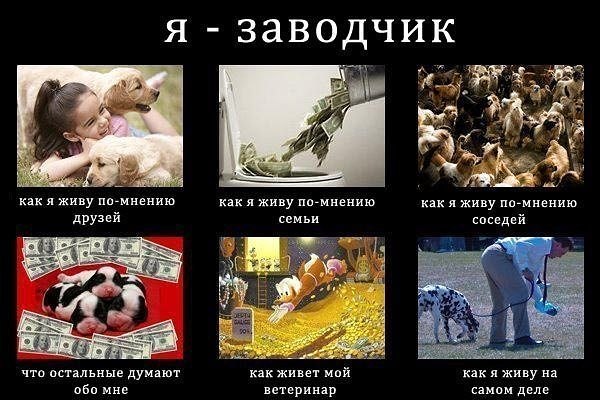 №35, Ангелина Донцова, Пушкино №35, Ангелина Донцова, Пушкино