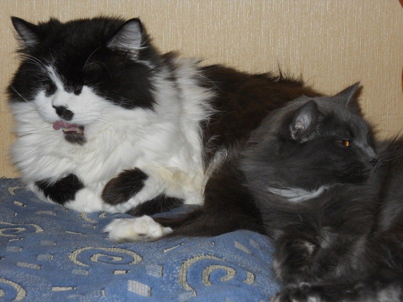 Маришка Бурикова | Ярославль