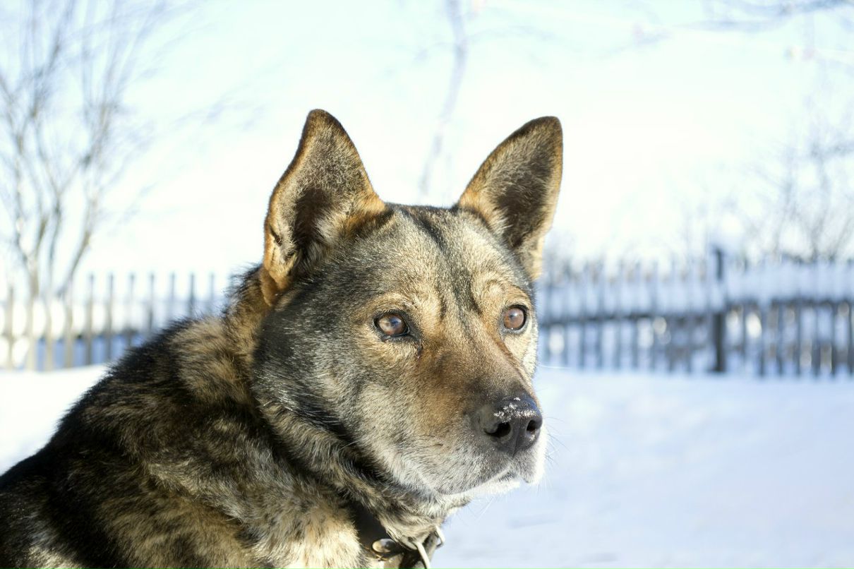 Татьяна Иванова | Иваново