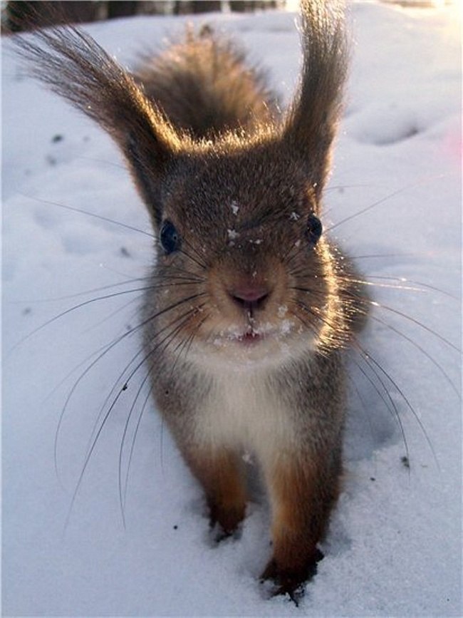 Ксения Буянова | Москва