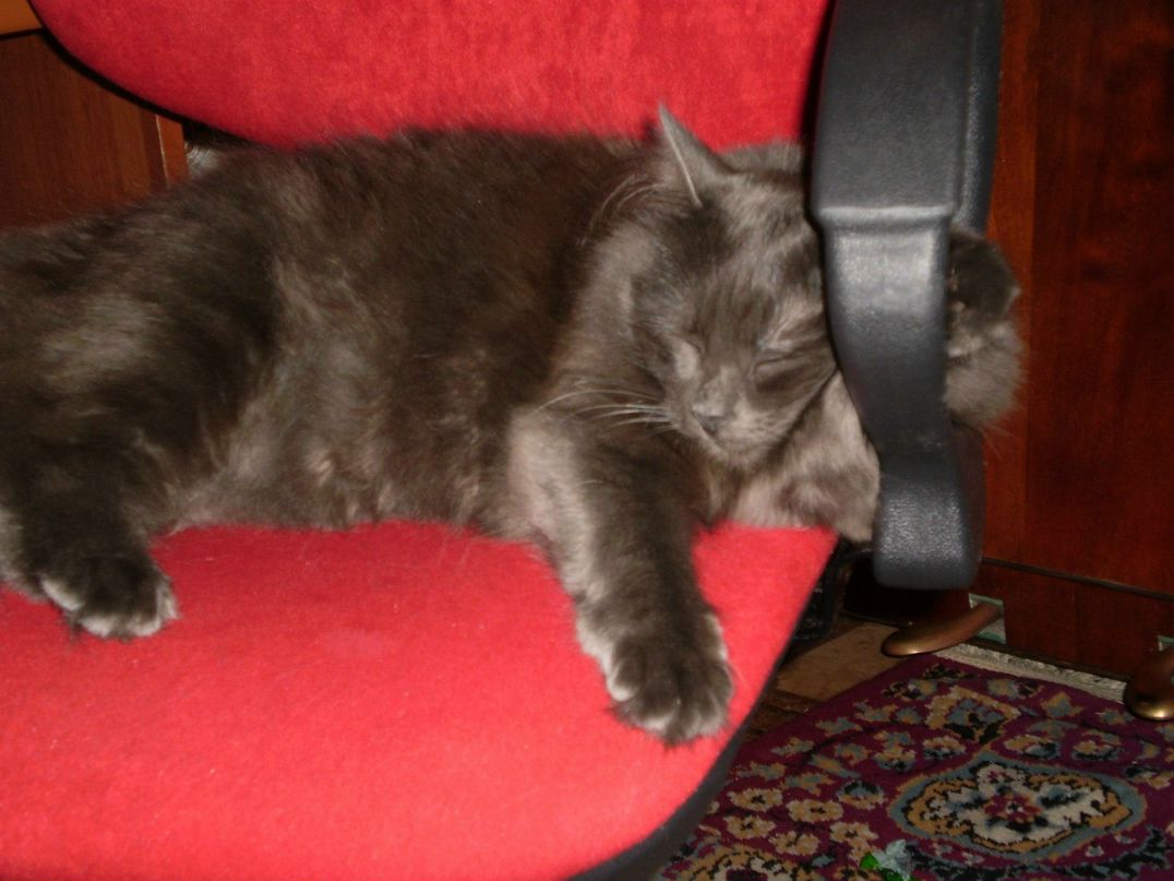 Нона Мухина | Днепр (Днепропетровск)