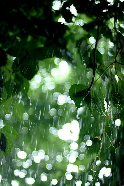 №14, Эллина Балиоз, 39 лет, Донецк №14, Эллина Балиоз, 39 лет, Донецк