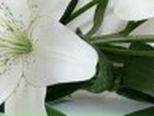 Кристина Петраш | Запорожье