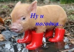 №3, Люда Тонева, Измаил №3, Люда Тонева, Измаил