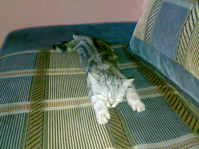 Иван Бузмаков | Кемерово