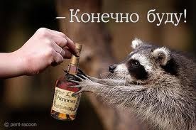 №2, Константин Березенко, Киев №2, Константин Березенко, Киев