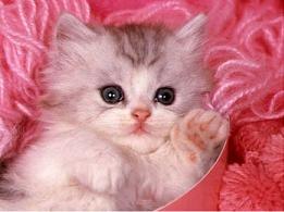 Анастасия Одинцова | Ижевск