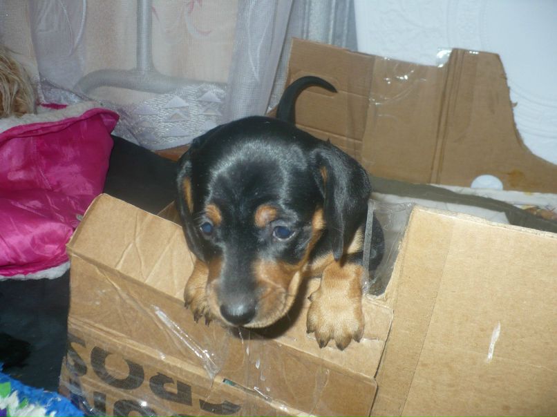 Татьяна Карелина | Вологда