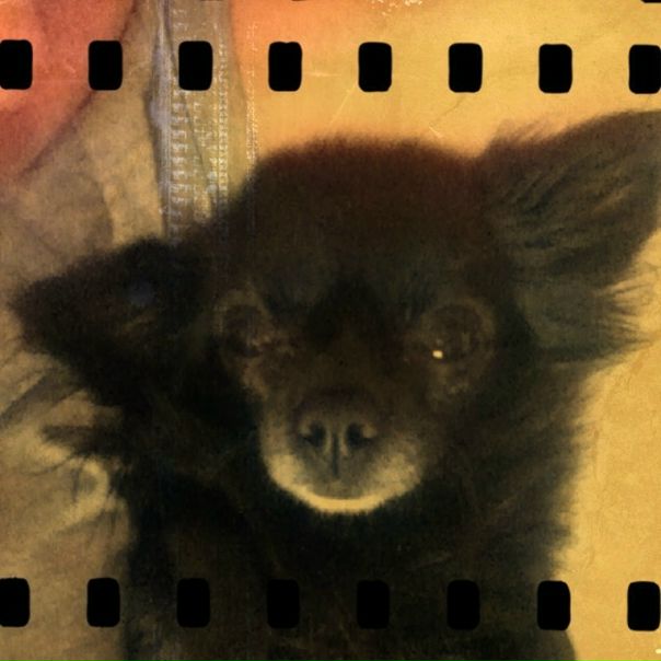 №49, Наталья Кравченко, Москва №49, Наталья Кравченко, Москва