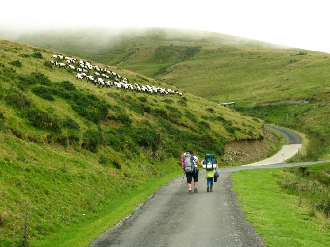 Светлана Иванова | Санкт-Петербург