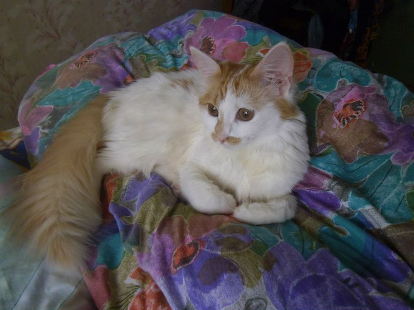 Юлия Стахальская | Кривой Рог