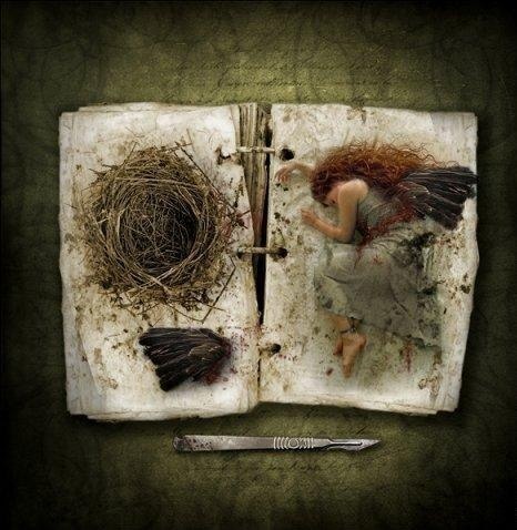 Сергей Неверов иванович | Санкт-Петербург