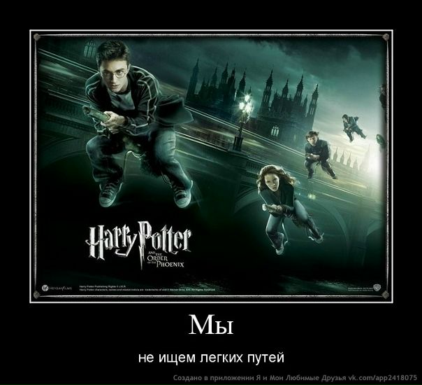 №8, Анна Алексеева №8, Анна Алексеева