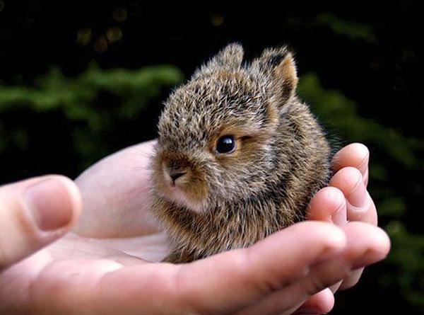Серёжа Мозес | Санкт-Петербург