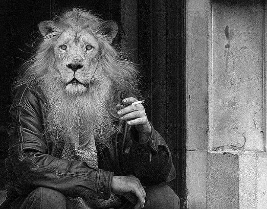 №74, Шактий Блеф, 109 лет №74, Шактий Блеф, 109 лет