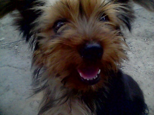 Артур Рожко | Николаев