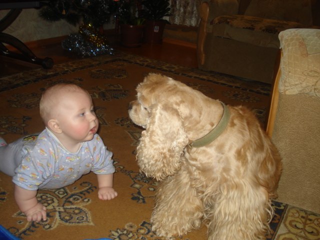 Светлана Шамарина | Апатиты