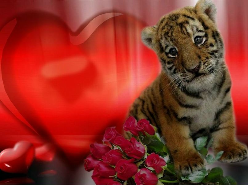 Евгения Ануфриева | Петрозаводск